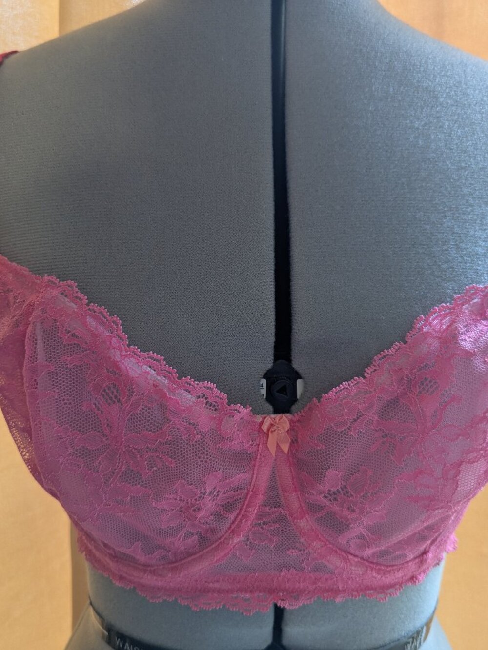 Felina Harlow Pink Ombre Sheer Lace Balconette Bra NWT 34DDD